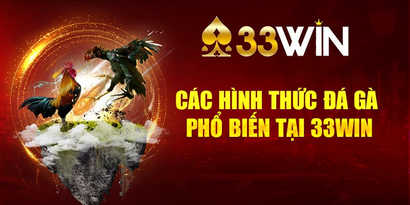 Sảnh đá gà 33Win có 3 hình thức đá gà phổ biến