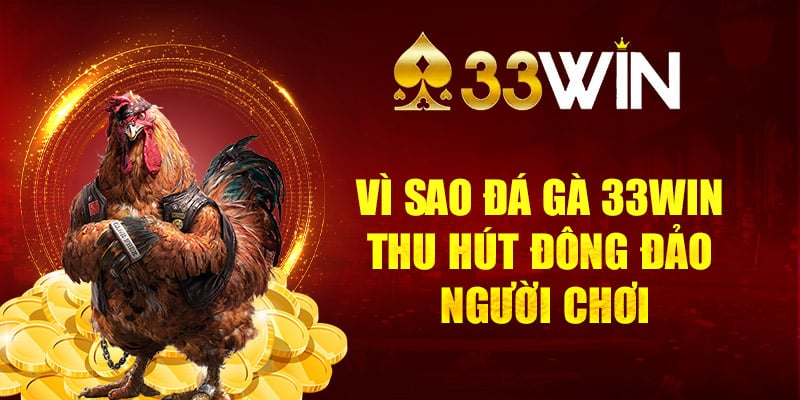 Những lý do khiến người chơi luôn bị cuốn hút bởi sảnh cược gà 33Win